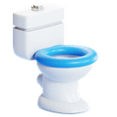 Toilet category